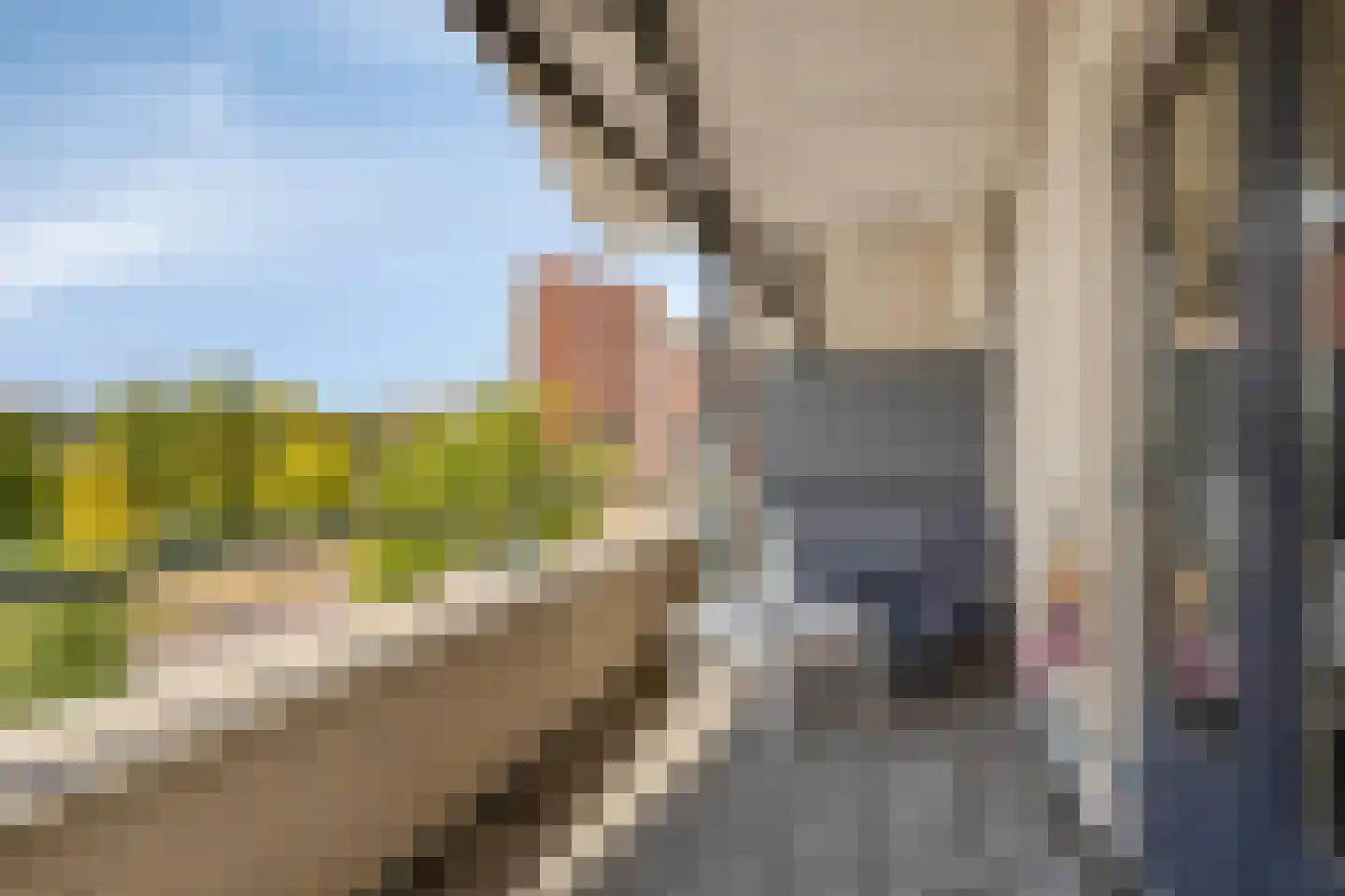 Sophialaan 14 Hendrik-Ido-Ambacht thumbnail 30