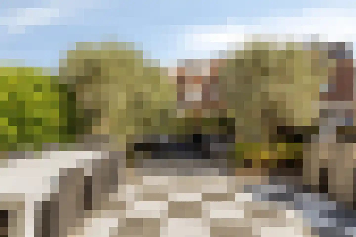 Sophialaan 14 Hendrik-Ido-Ambacht thumbnail 32
