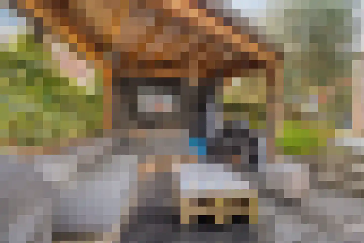 Sophialaan 14 Hendrik-Ido-Ambacht thumbnail 33