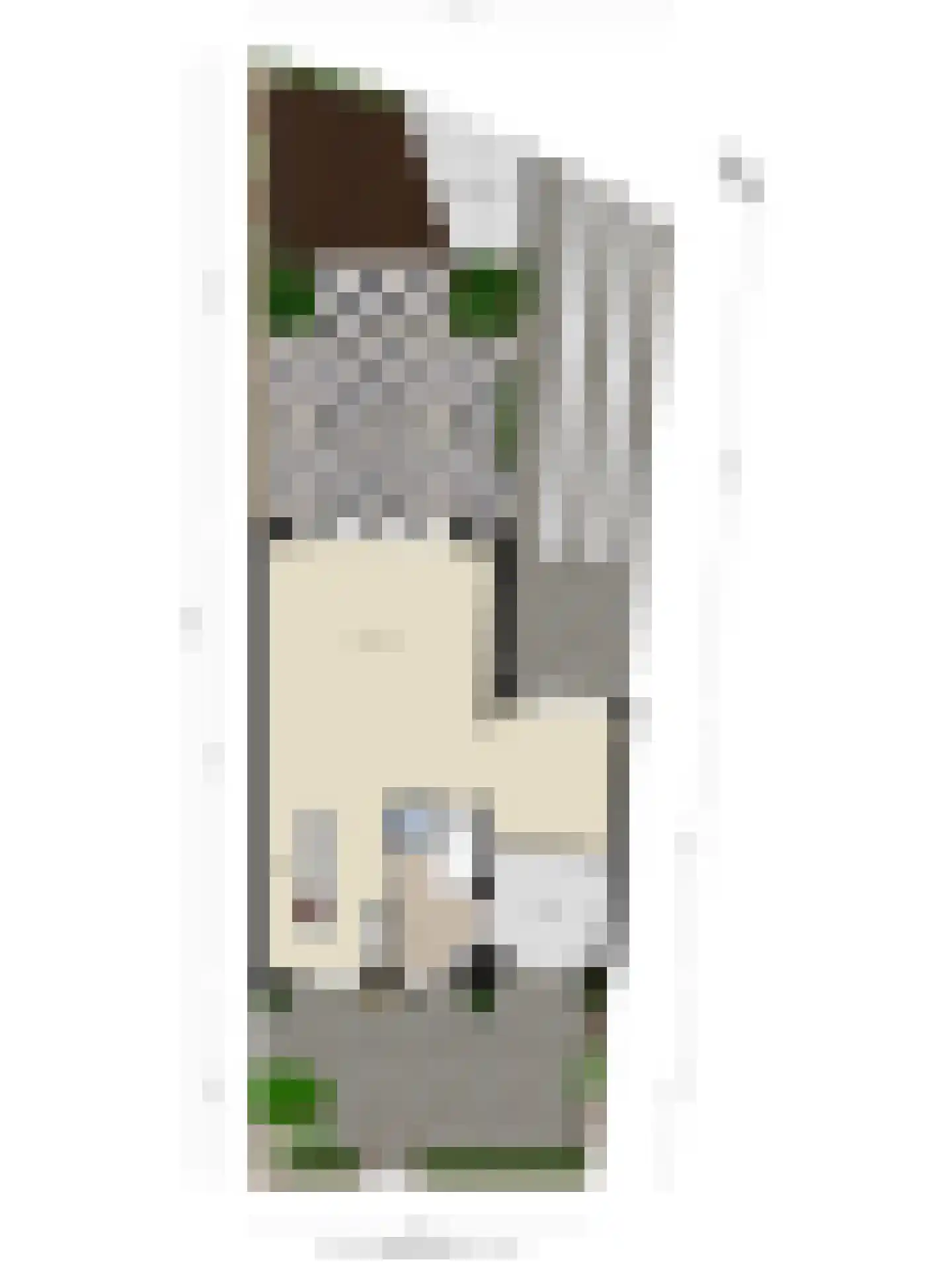 Sophialaan 14 Hendrik-Ido-Ambacht thumbnail 47