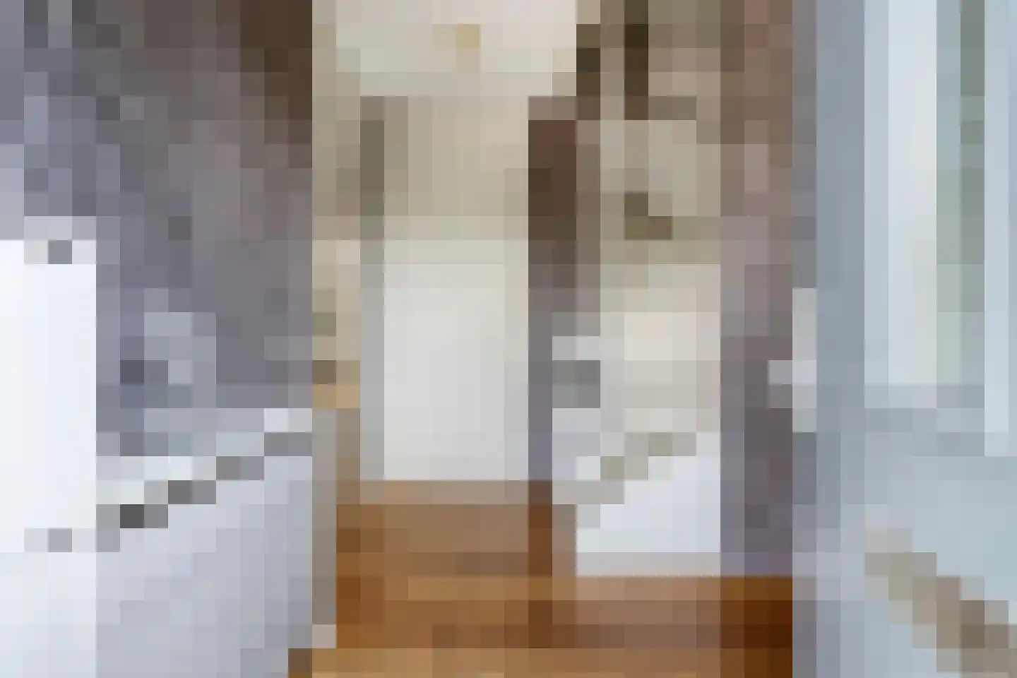 Sophialaan 14 Hendrik-Ido-Ambacht thumbnail 7