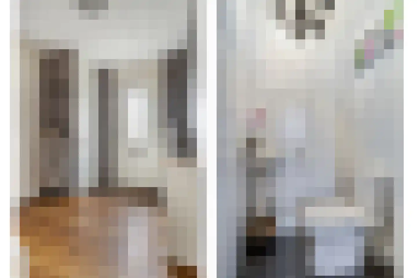 Sophialaan 14 Hendrik-Ido-Ambacht thumbnail 8