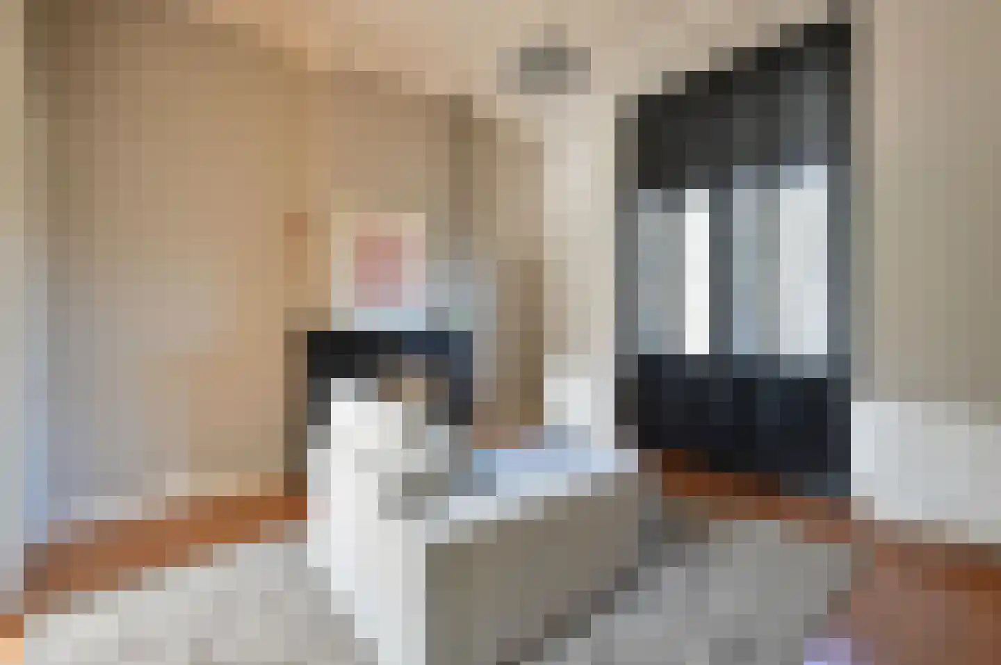 Sophialaan 15 Baarn thumbnail 24