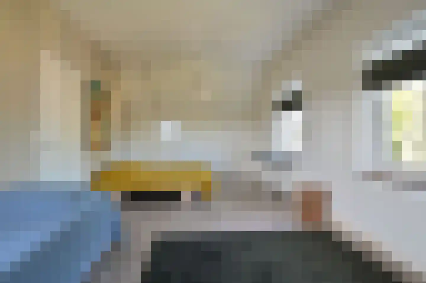 Sophialaan 15 Baarn thumbnail 29