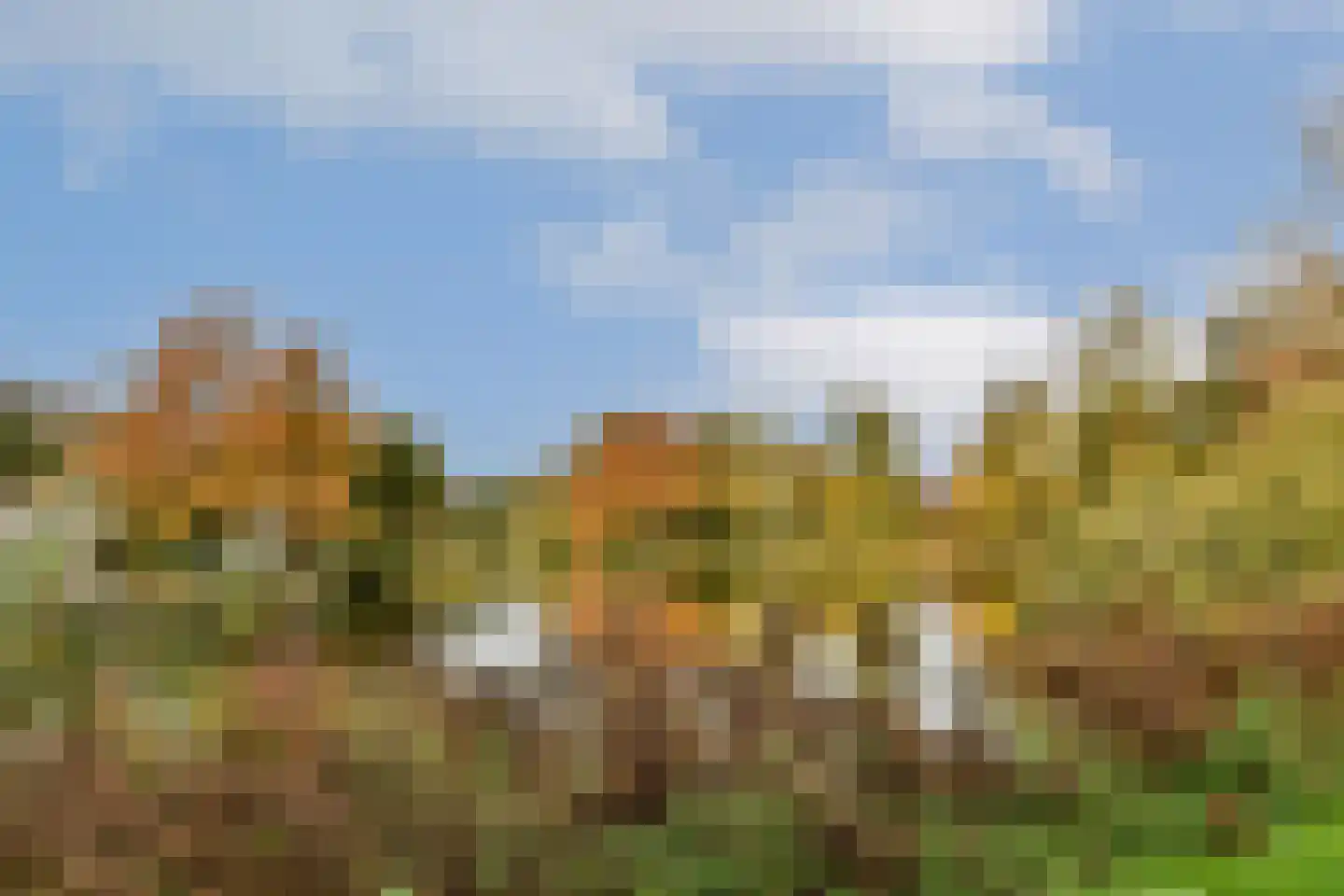 Sophialaan 19 E Amsterdam thumbnail 30
