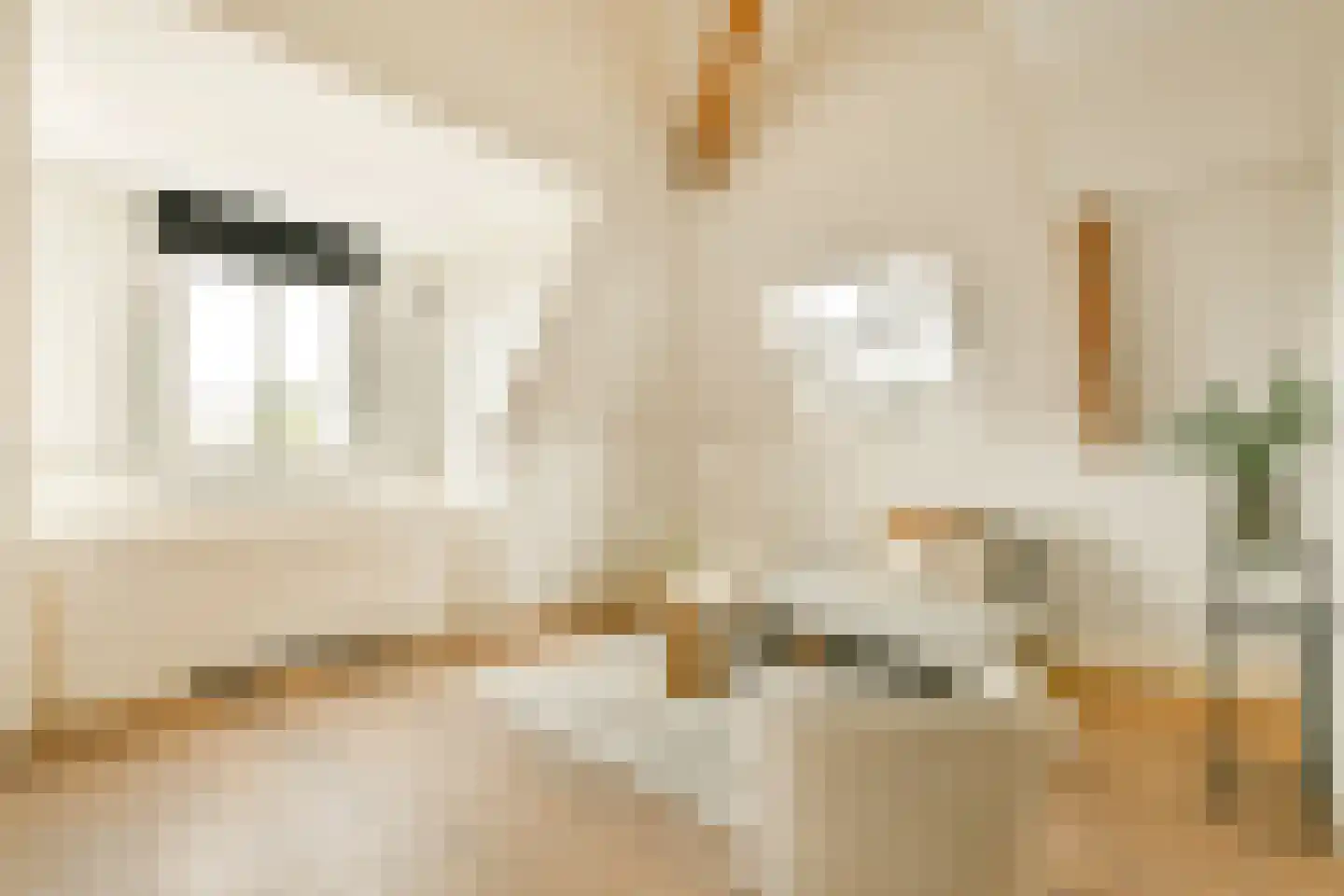 Sophialaan 19 E Amsterdam thumbnail 5