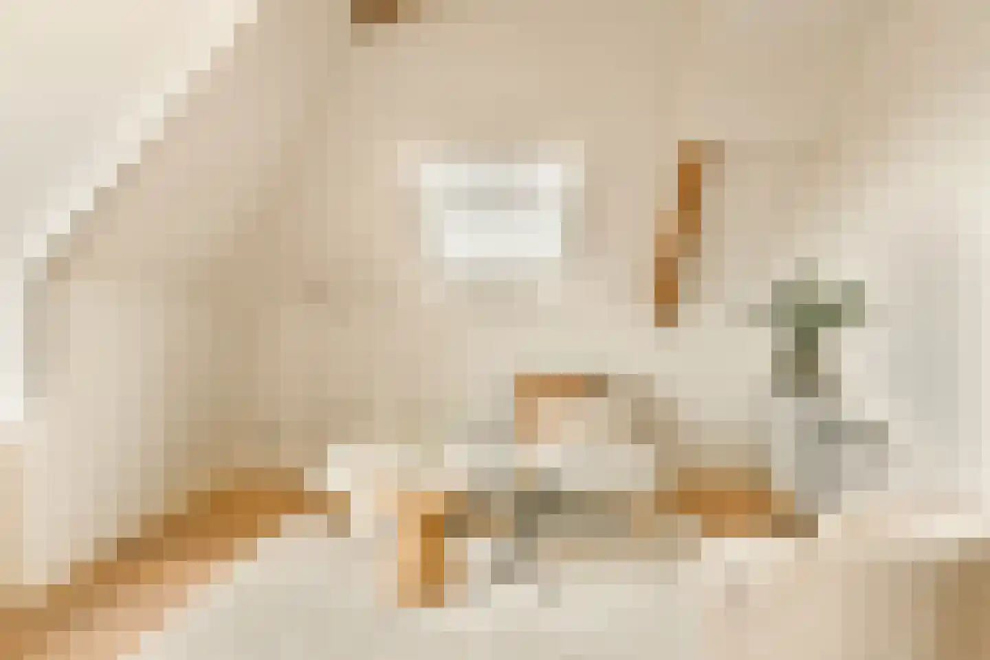 Sophialaan 19 E Amsterdam thumbnail 6