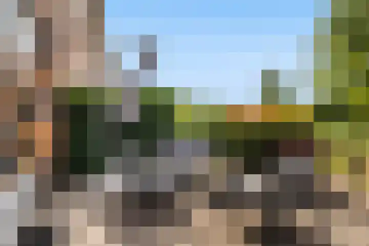 Sophialaan 19 Hendrik-Ido-Ambacht thumbnail 10