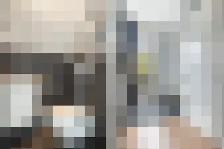 Sophialaan 19 Hendrik-Ido-Ambacht thumbnail 11