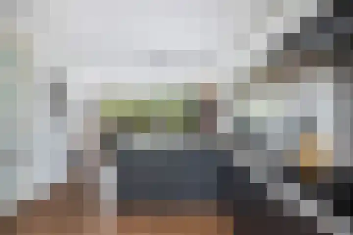 Sophialaan 19 Hendrik-Ido-Ambacht thumbnail 16