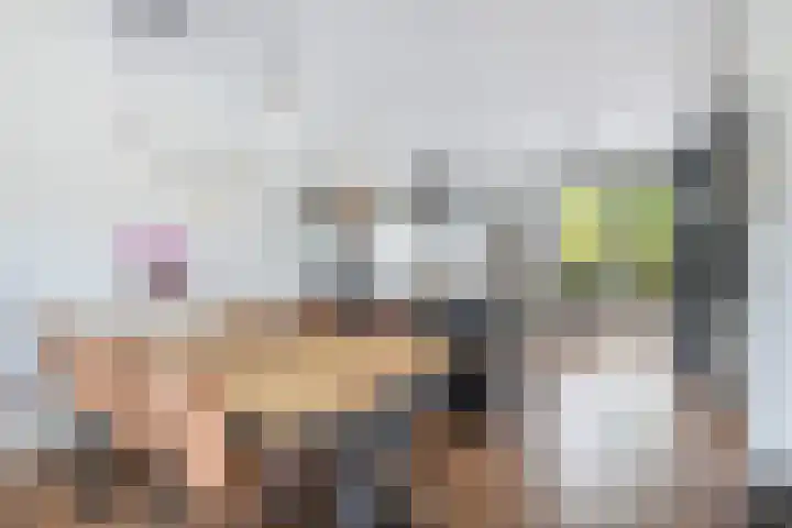 Sophialaan 19 Hendrik-Ido-Ambacht thumbnail 17