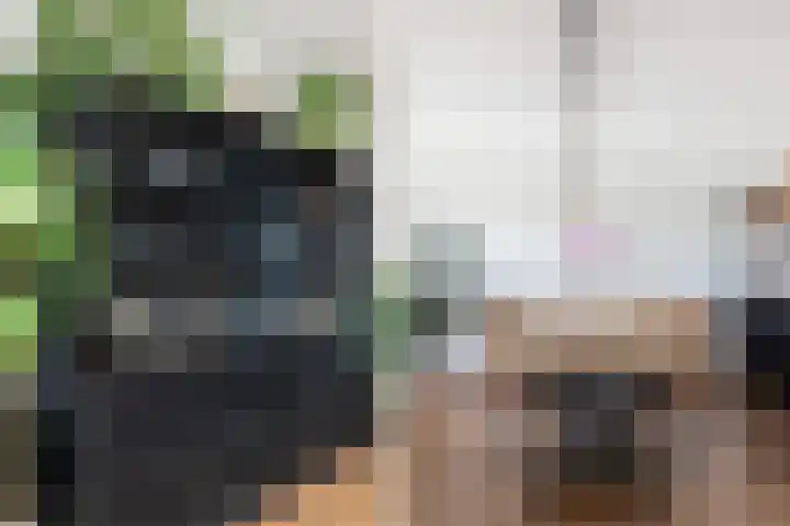 Sophialaan 19 Hendrik-Ido-Ambacht thumbnail 18