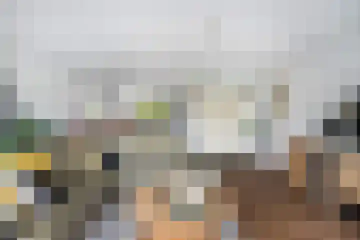 Sophialaan 19 Hendrik-Ido-Ambacht thumbnail 21