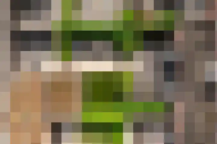 Sophialaan 19 Hendrik-Ido-Ambacht thumbnail 24