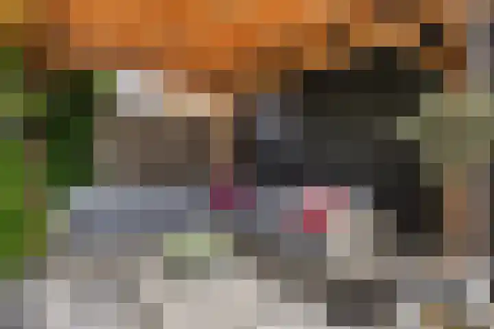 Sophialaan 19 Hendrik-Ido-Ambacht thumbnail 27