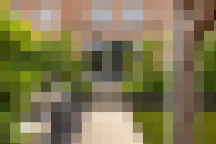 Sophialaan 19 Hendrik-Ido-Ambacht thumbnail 30