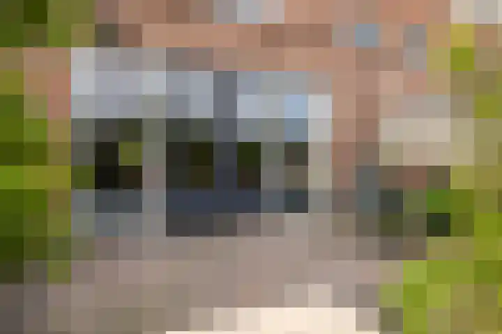 Sophialaan 19 Hendrik-Ido-Ambacht thumbnail 32
