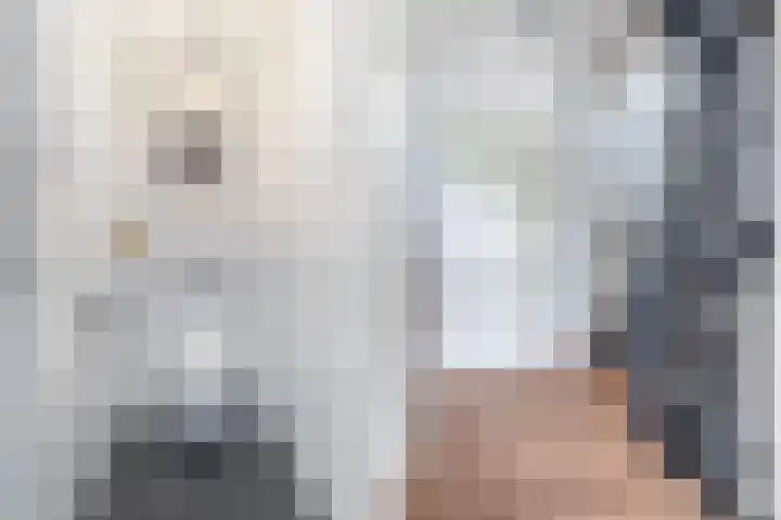 Sophialaan 19 Hendrik-Ido-Ambacht thumbnail 33