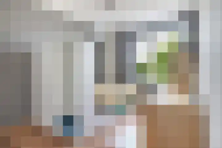 Sophialaan 19 Hendrik-Ido-Ambacht thumbnail 37