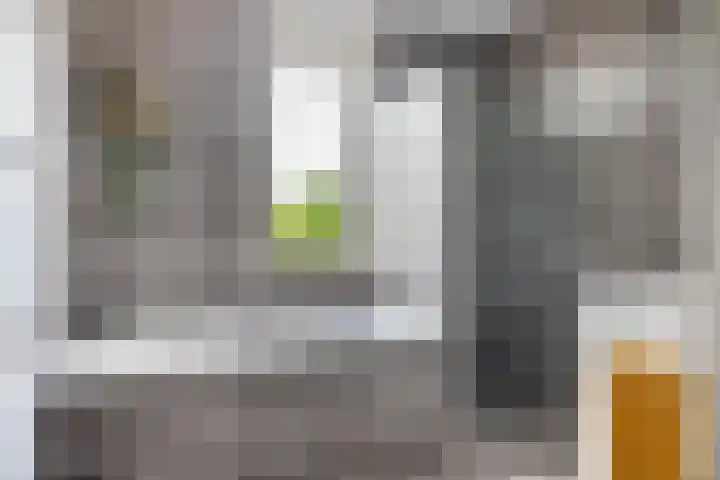 Sophialaan 19 Hendrik-Ido-Ambacht thumbnail 39