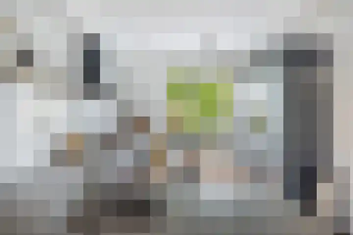 Sophialaan 19 Hendrik-Ido-Ambacht thumbnail 4