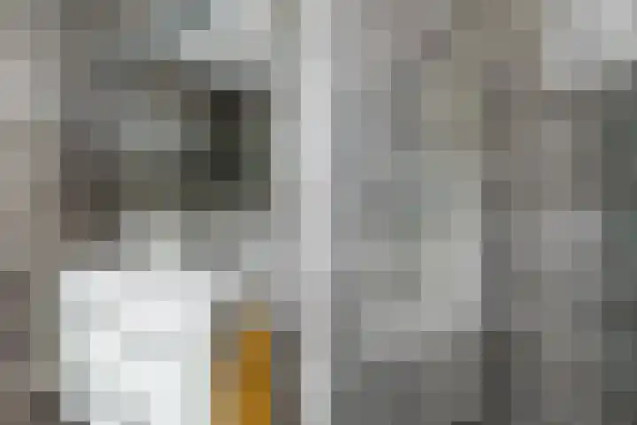 Sophialaan 19 Hendrik-Ido-Ambacht thumbnail 40