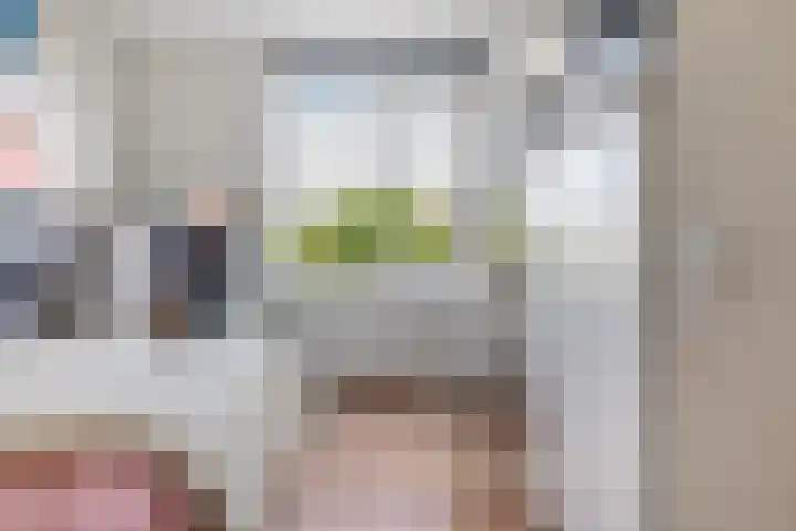 Sophialaan 19 Hendrik-Ido-Ambacht thumbnail 41