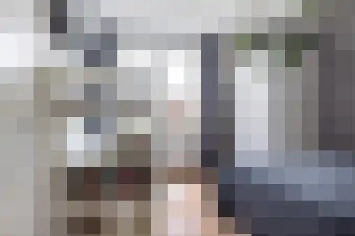 Sophialaan 19 Hendrik-Ido-Ambacht thumbnail 43