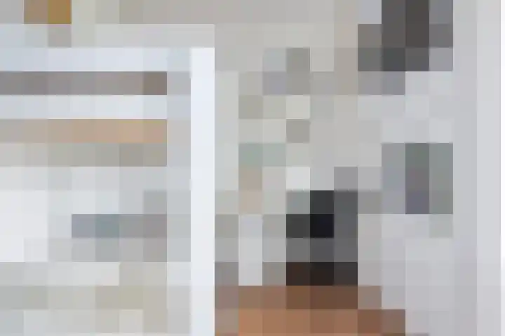 Sophialaan 19 Hendrik-Ido-Ambacht thumbnail 46