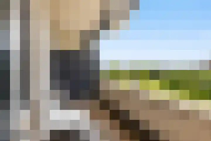 Sophialaan 19 Hendrik-Ido-Ambacht thumbnail 48