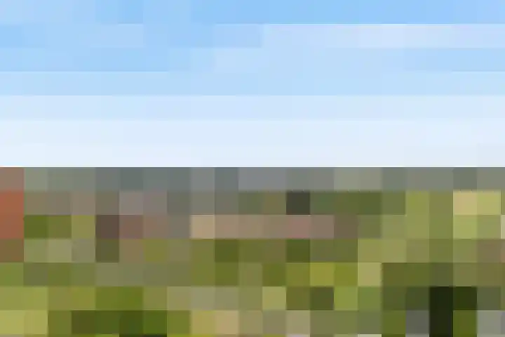 Sophialaan 19 Hendrik-Ido-Ambacht thumbnail 5