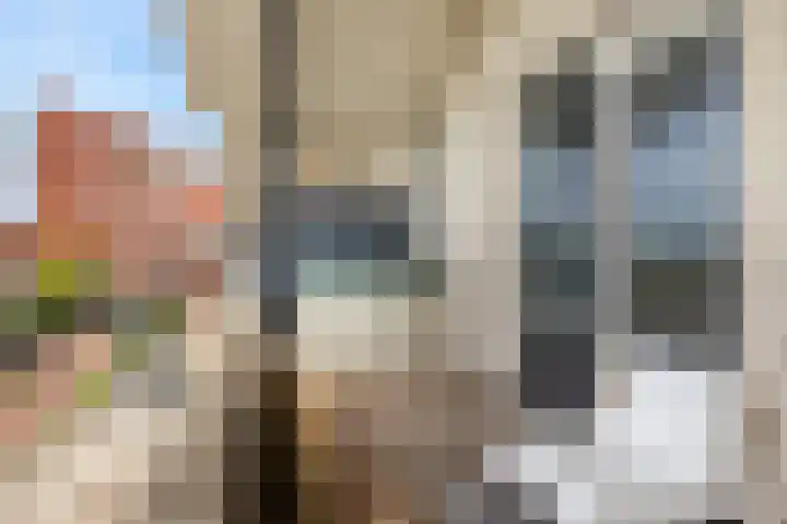 Sophialaan 19 Hendrik-Ido-Ambacht thumbnail 50