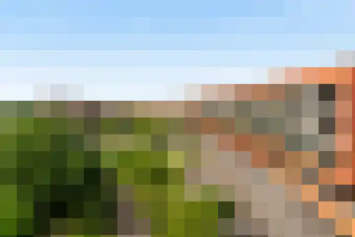 Sophialaan 19 Hendrik-Ido-Ambacht thumbnail 54