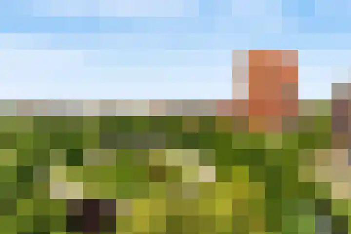 Sophialaan 19 Hendrik-Ido-Ambacht thumbnail 57