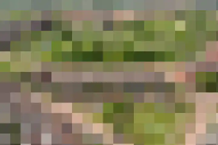 Sophialaan 19 Hendrik-Ido-Ambacht thumbnail 6