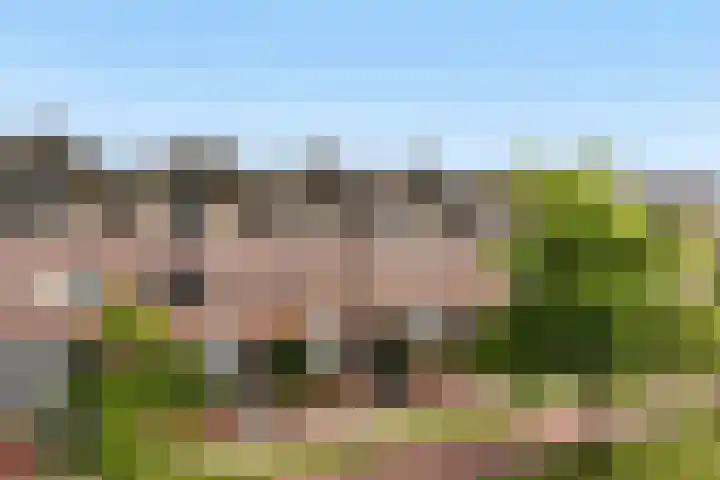 Sophialaan 19 Hendrik-Ido-Ambacht thumbnail 7