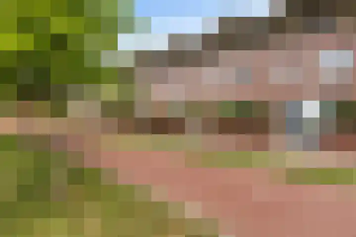 Sophialaan 19 Hendrik-Ido-Ambacht thumbnail 8