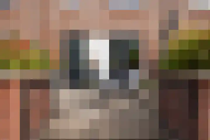 Sophialaan 19 Hendrik-Ido-Ambacht thumbnail 9
