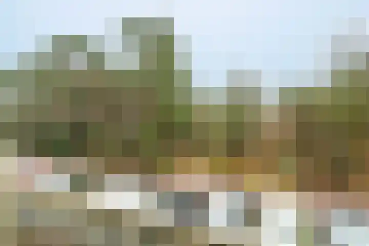 Sophialaan 23 1 Zeist thumbnail 19