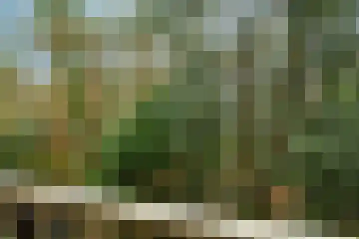Sophialaan 23 1 Zeist thumbnail 21