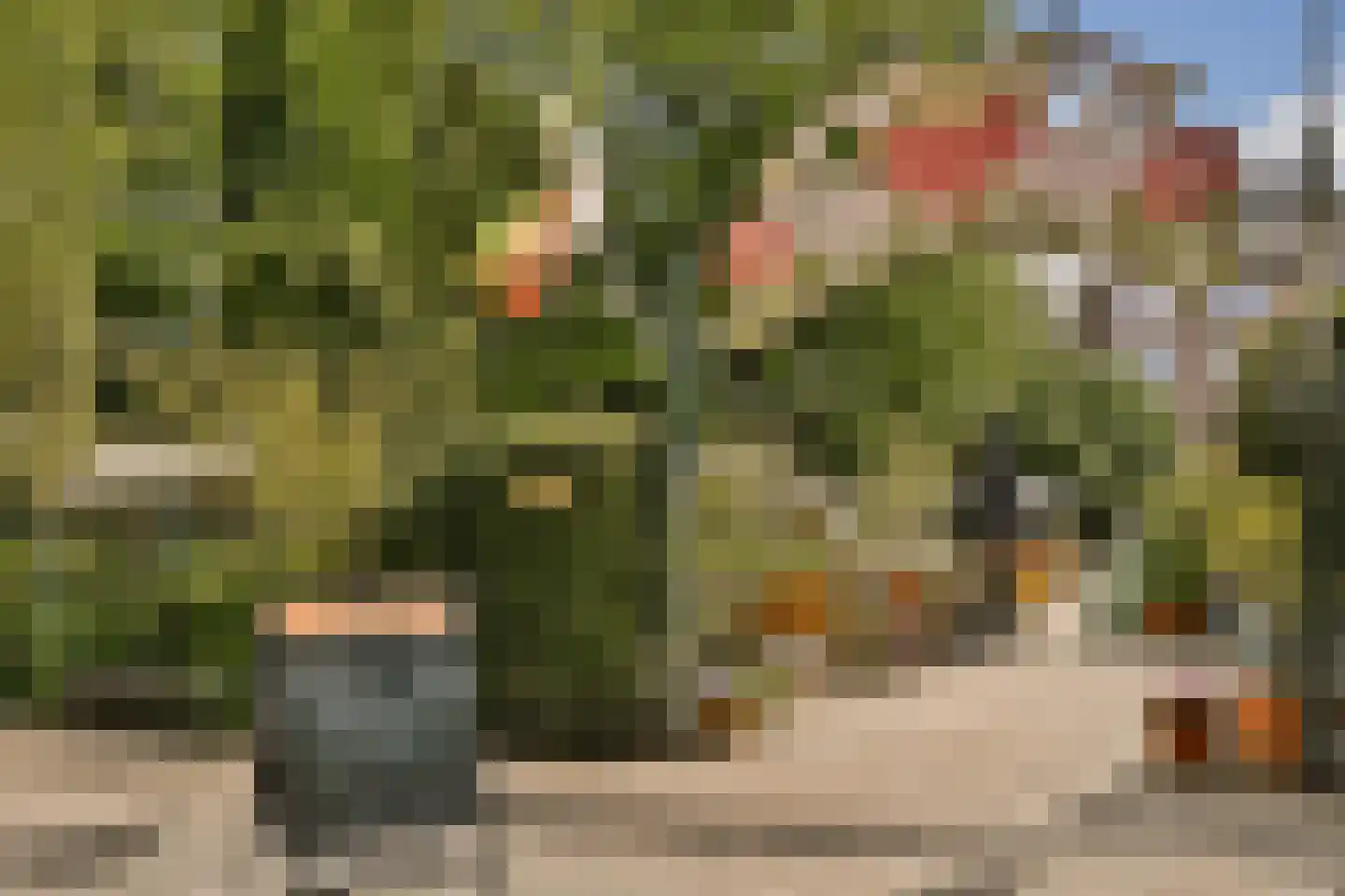 Sophialaan 23 A Amsterdam thumbnail 24