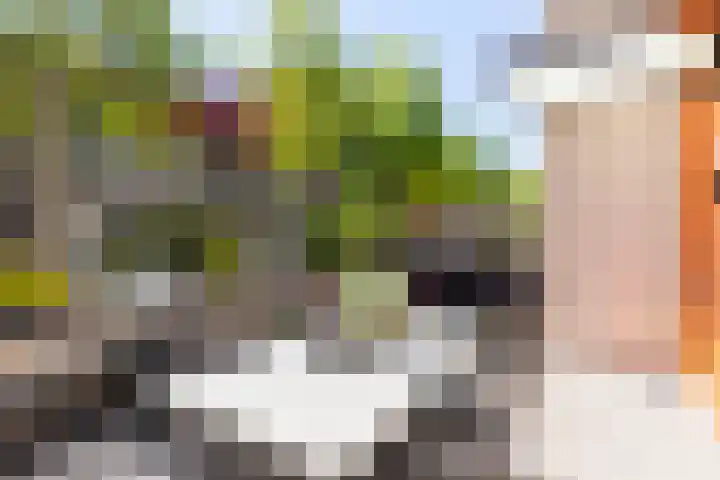 Sophialaan 23 E Apeldoorn thumbnail 9