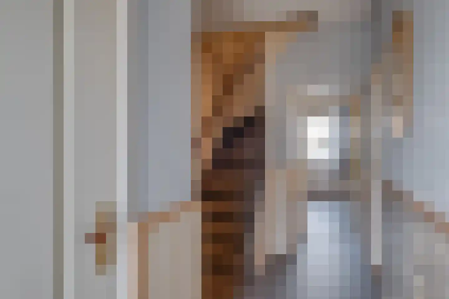 Sophialaan 24 Ruurlo thumbnail 12