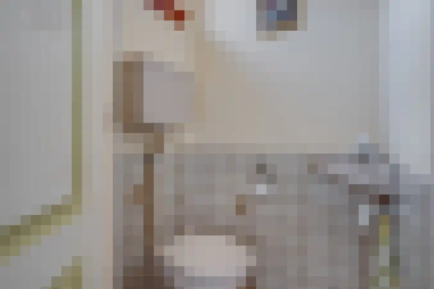 Sophialaan 24 Ruurlo thumbnail 13