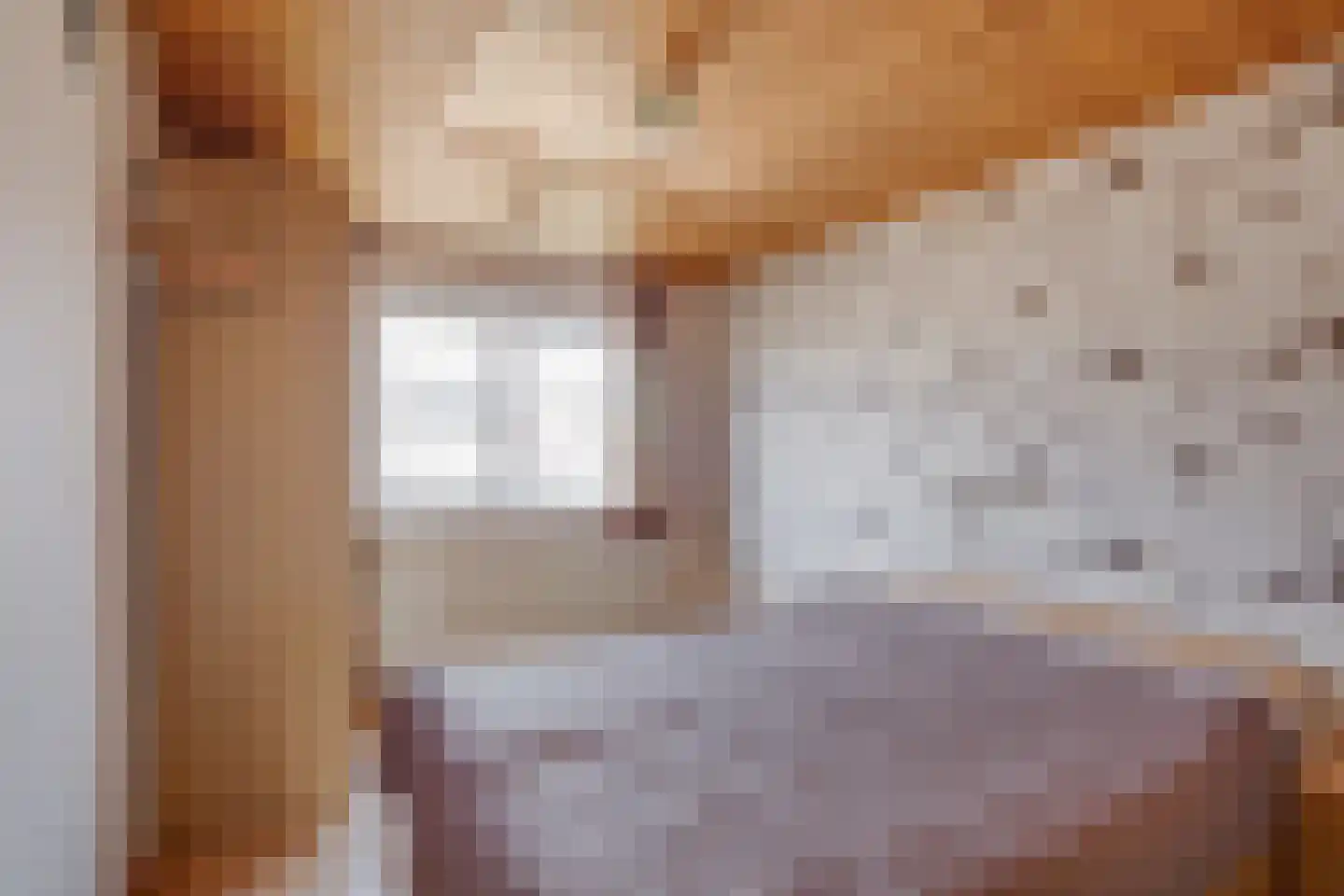 Sophialaan 24 Ruurlo thumbnail 5