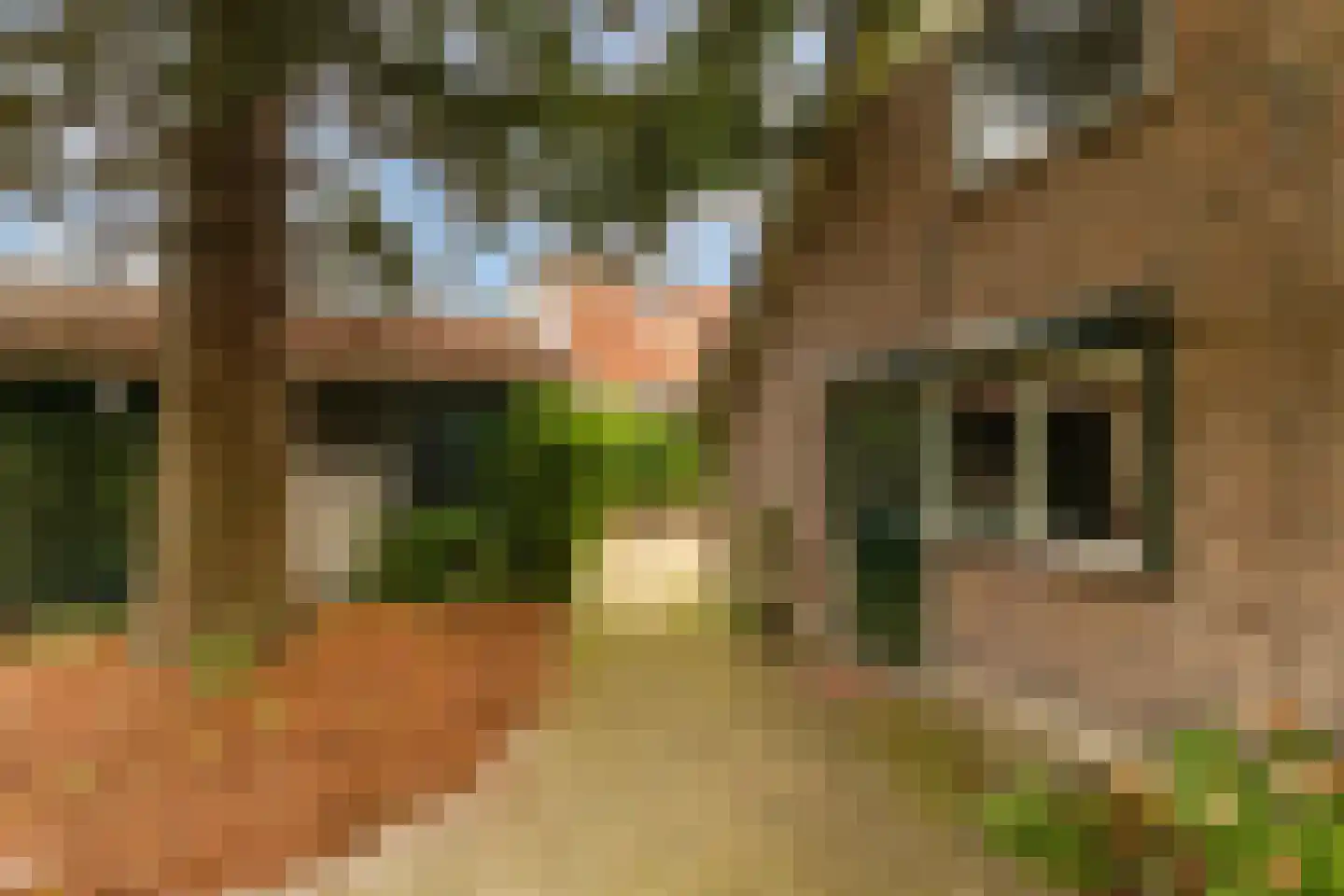 Sophialaan 27 Ermelo thumbnail 37
