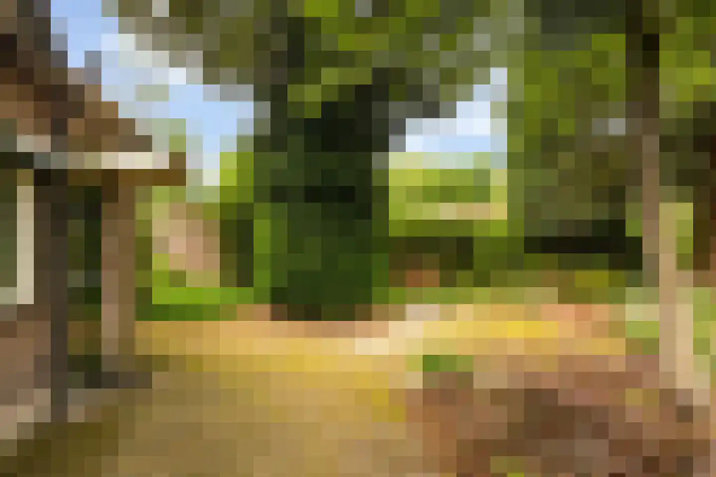 Sophialaan 27 Ermelo thumbnail 38
