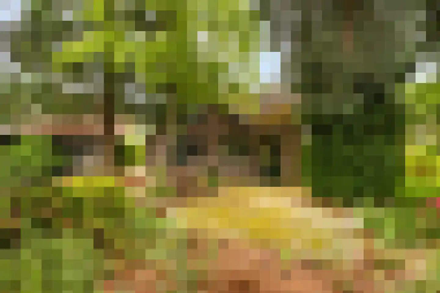 Sophialaan 27 Ermelo thumbnail 39