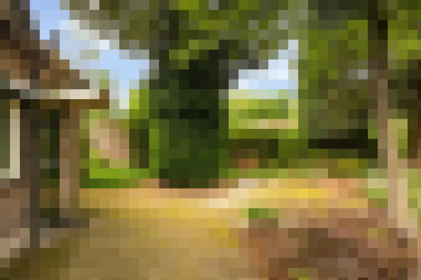Sophialaan 27 Ermelo thumbnail 39