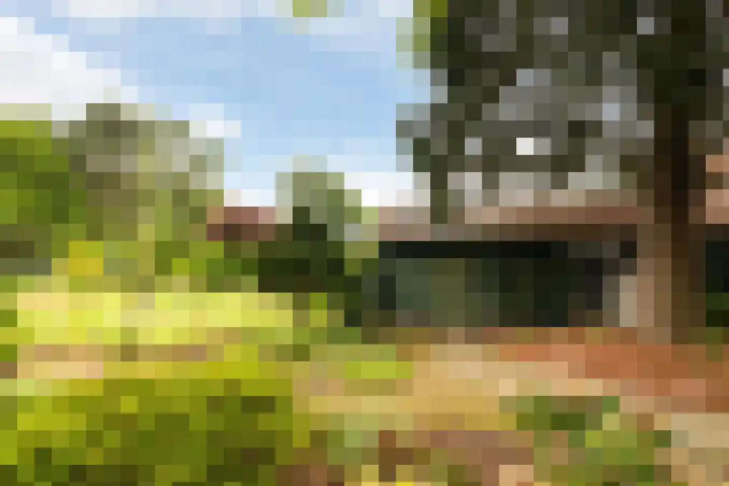 Sophialaan 27 Ermelo thumbnail 40